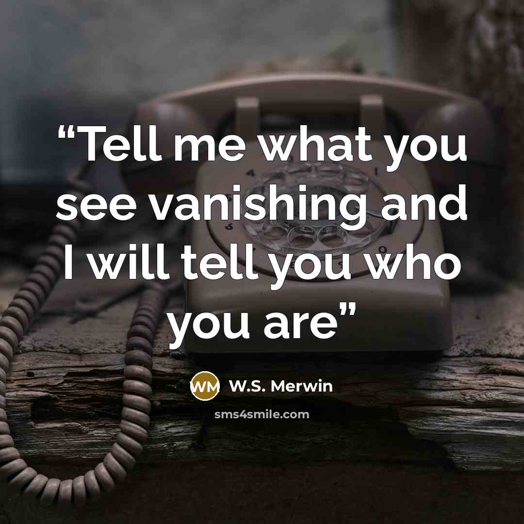 “Tell me what you see vanishing and I will tell you who you are” quote by W.S. Merwin