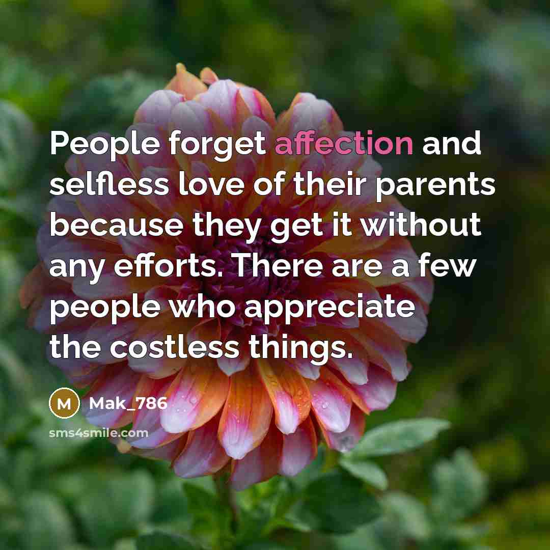 “People forget affection and selfless love of their parents because they get it without any efforts. There are a few people who appreciate the costless things.” quote by Mak_786