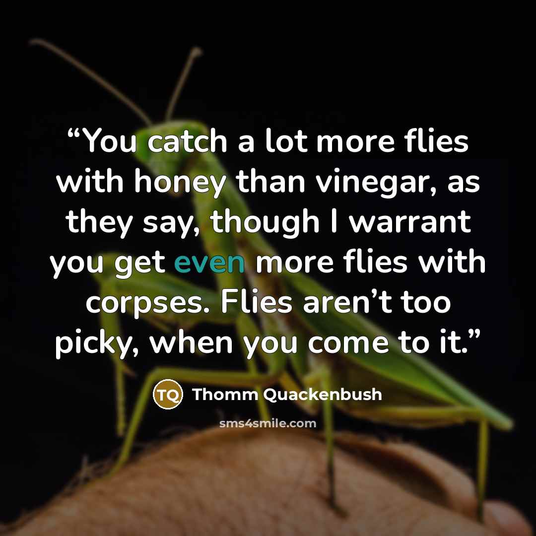 “You catch a lot more flies with honey than vinegar, as they say, though I warrant you get even more flies with corpses. Flies aren’t too picky, when you come to it.” quote by Thomm Quackenbush