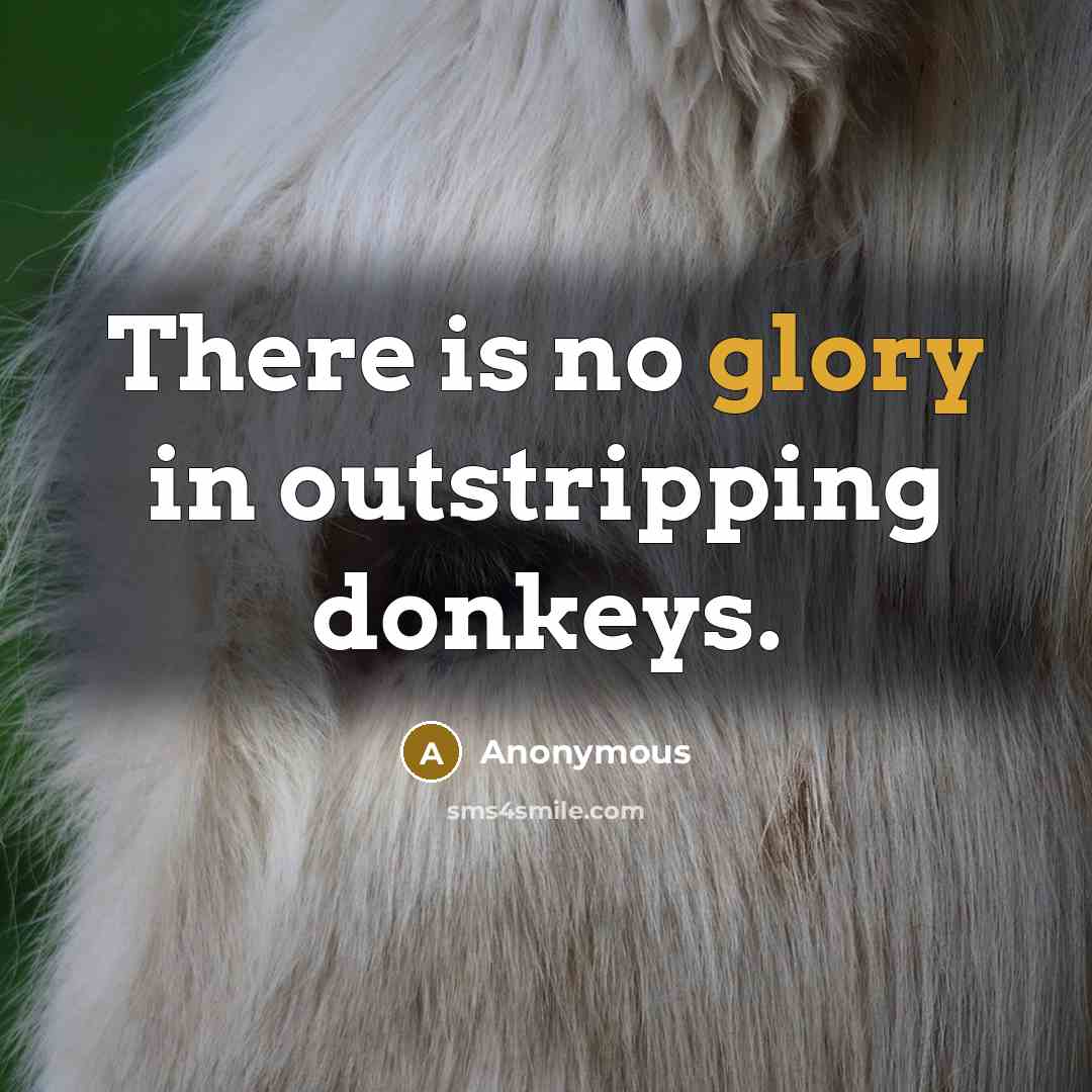 “There is no glory in outstripping donkeys.” quote by Anonymous