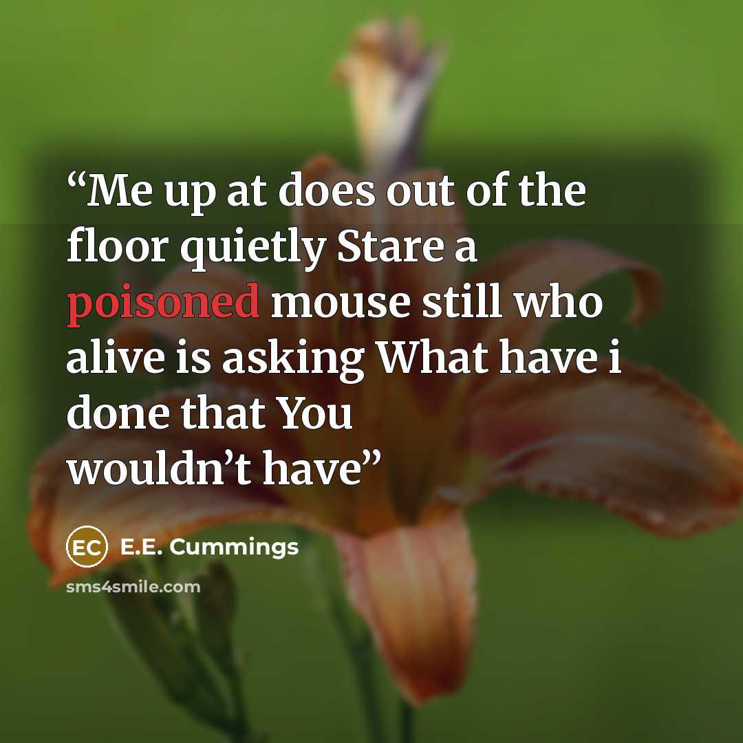 “Me up at does out of the floor quietly Stare a poisoned mouse still who alive is asking What have i done that You wouldn’t have” quote by E.E. Cummings