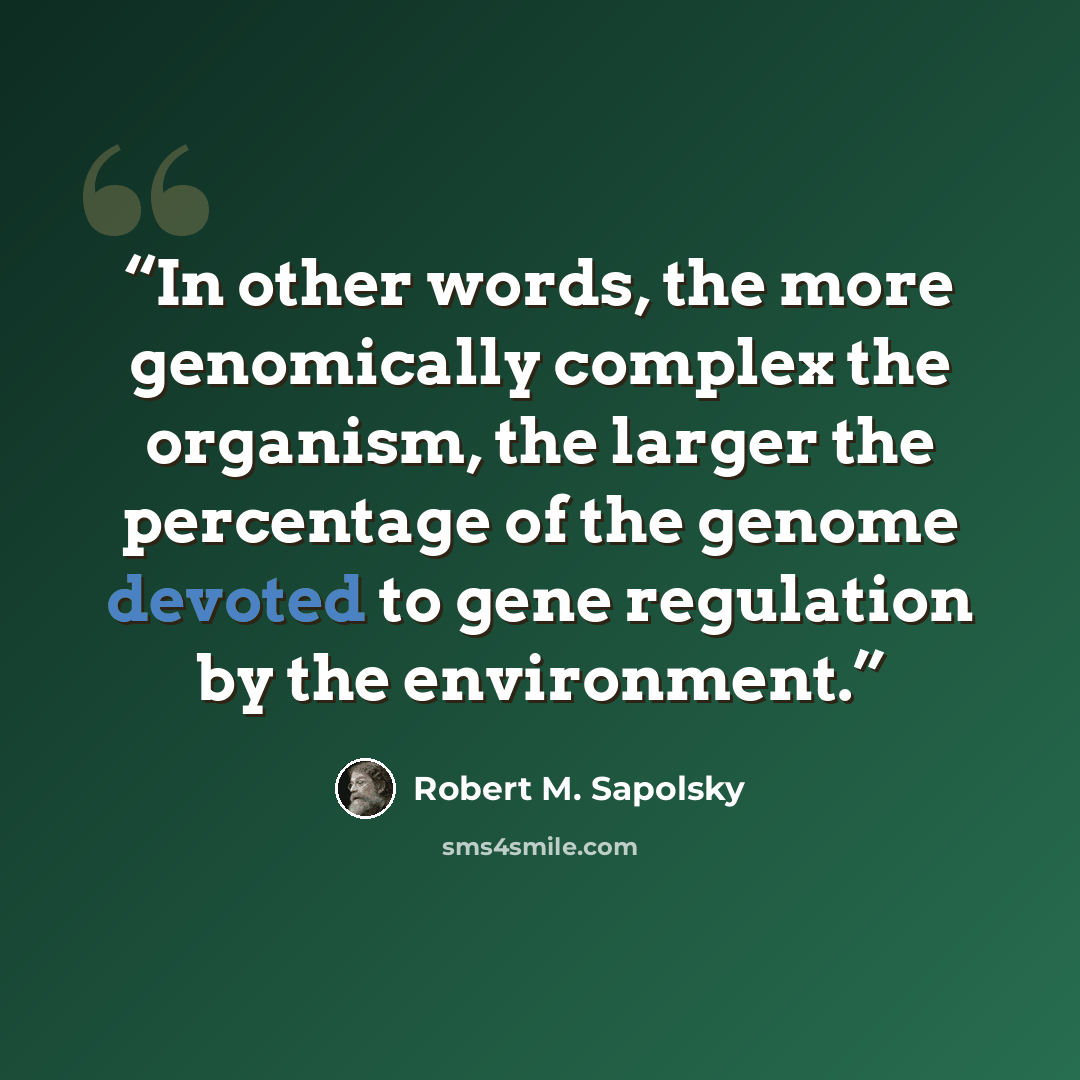 “In other words, the more genomically complex the organism, the larger the percentage of the genome devoted to gene regulation by the environment.” quote by Robert M. Sapolsky