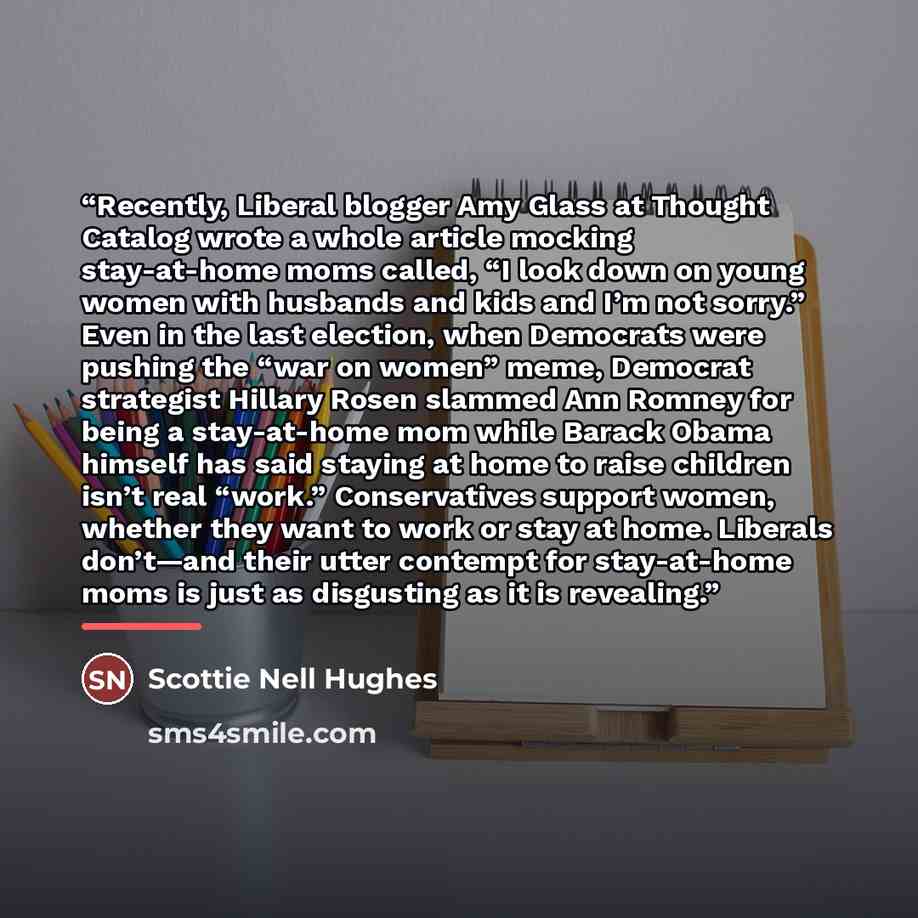 “Recently, Liberal blogger Amy Glass at Thought Catalog wrote a whole article mocking stay-at-home moms called, “I look down on young women with husbands and kids and I’m not sorry.” Even in the last election, when Democrats were pushing the “war on women” meme, Democrat strategist Hillary Rosen…” quote by Scottie Nell Hughes