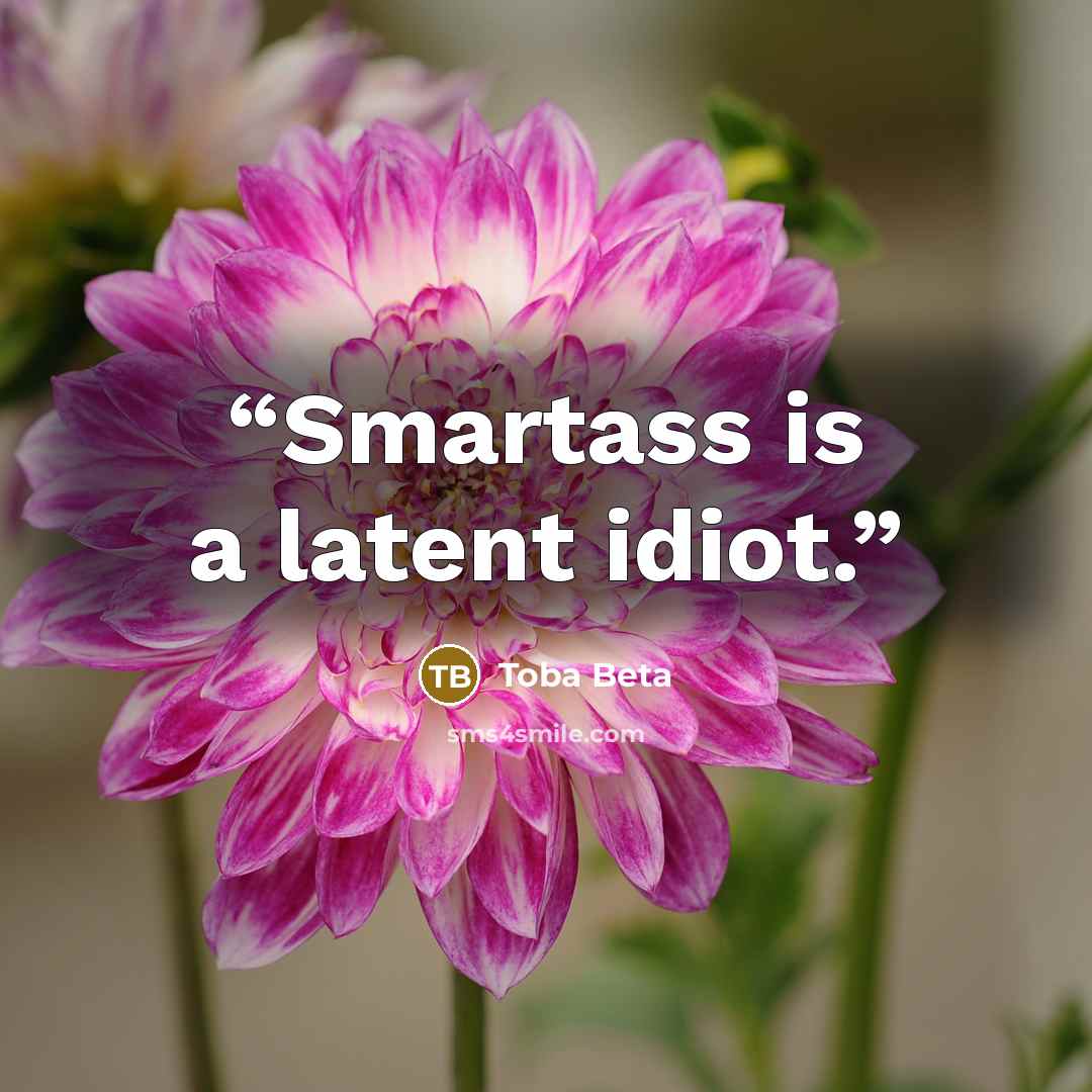 “Smartass is a latent idiot.” quote by Toba Beta