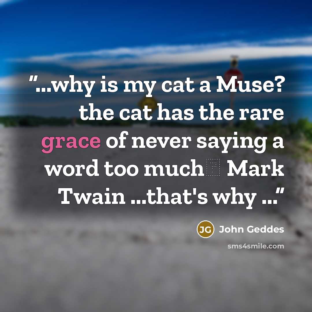 “...why is my cat a Muse? the cat has the rare grace of never saying a word too much― Mark Twain ...that's why ...” quote by John Geddes