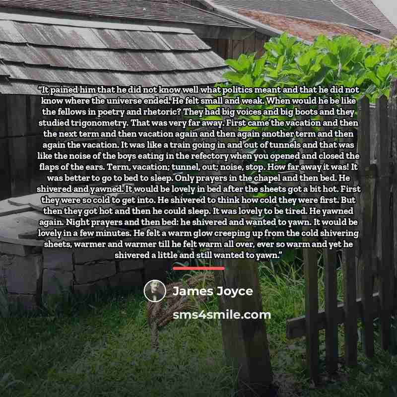 “It pained him that he did not know well what politics meant and that he did not know where the universe ended. He felt small and weak. When would he be like the fellows in poetry and rhetoric? They had big voices and big boots and they studied trigonometry. That was very far away. First came the…” quote by James Joyce