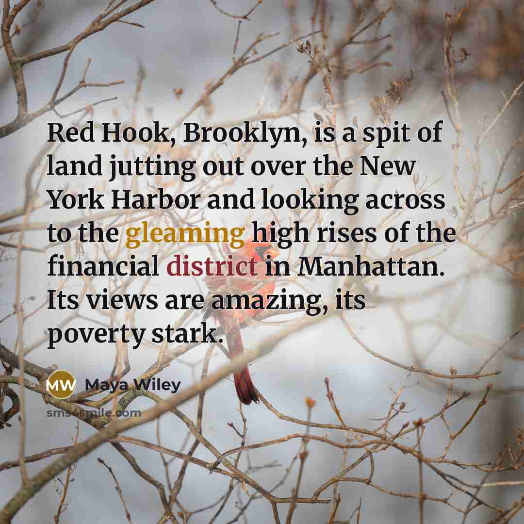 “Red Hook, Brooklyn, is a spit of land jutting out over the New York Harbor and looking across to the gleaming high rises of the financial district in Manhattan. Its views are amazing, its poverty stark.” quote by Maya Wiley
