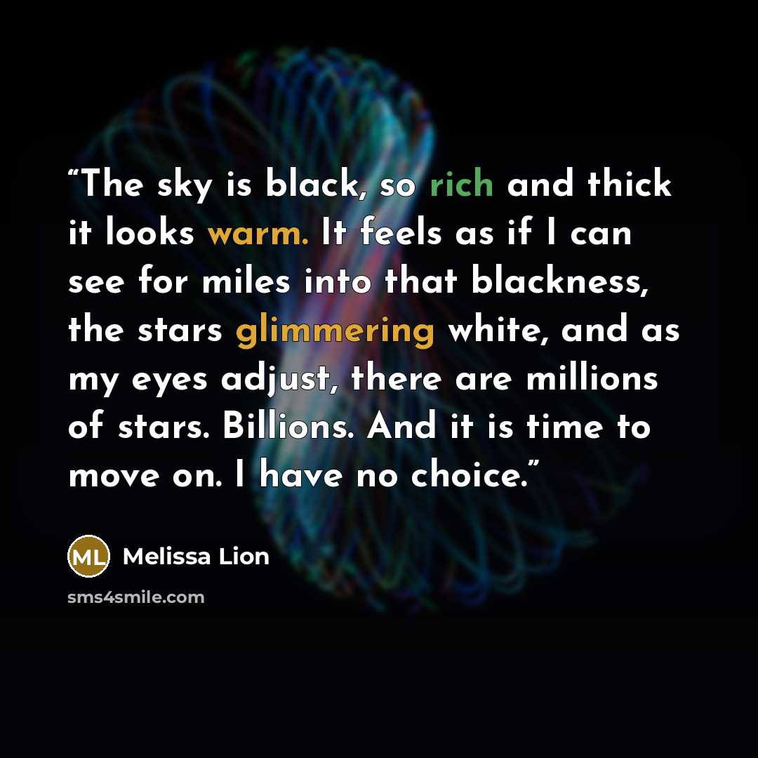 “The sky is black, so rich and thick it looks warm. It feels as if I can see for miles into that blackness, the stars glimmering white, and as my eyes adjust, there are millions of stars. Billions. And it is time to move on. I have no choice.” quote by Melissa Lion