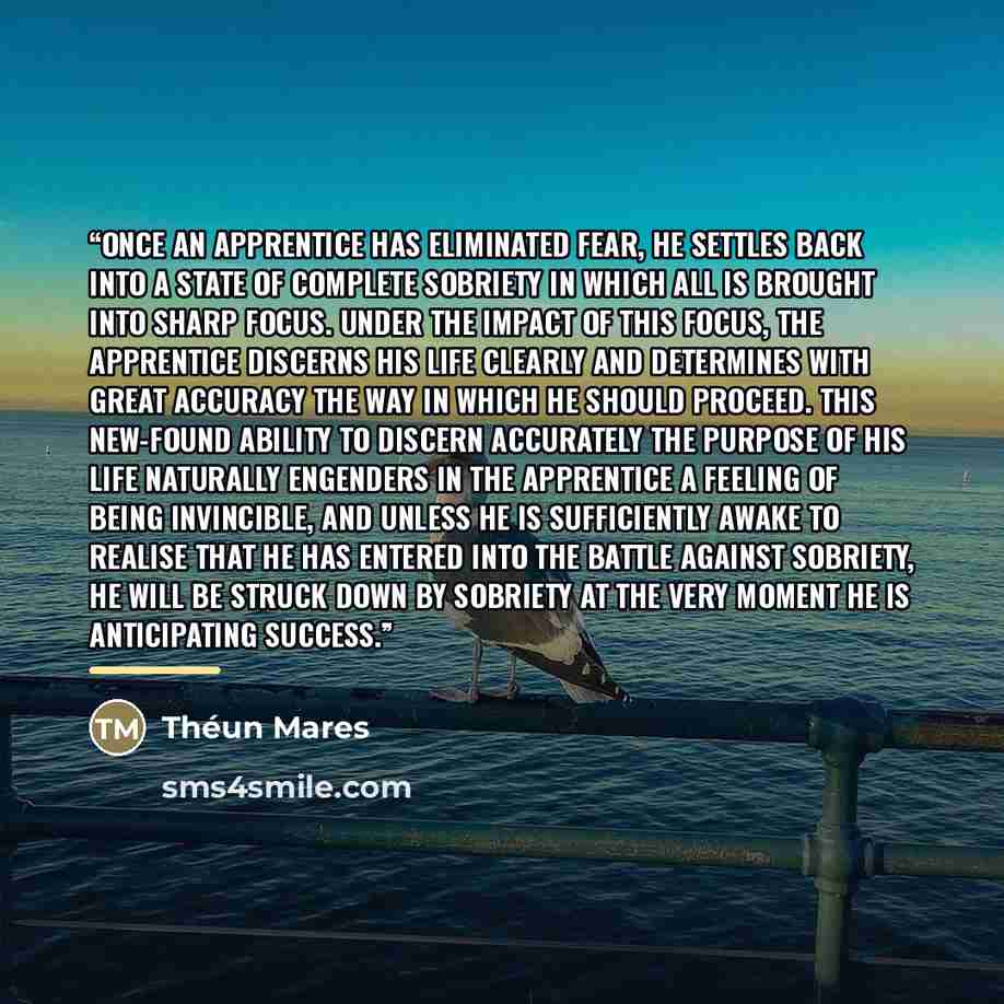 “Once an apprentice has eliminated fear, he settles back into a state of complete sobriety in which all is brought into sharp focus. Under the impact of this focus, the apprentice discerns his life clearly and determines with great accuracy the way in which he should proceed. This new-found ability…” quote by Théun Mares