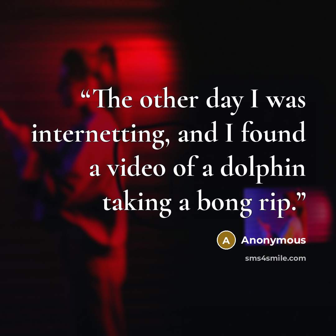 “The other day I was internetting, and I found a video of a dolphin taking a bong rip.” quote by Anonymous
