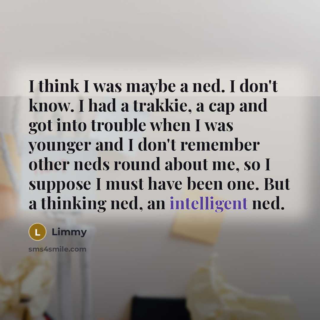 “I think I was maybe a ned. I don't know. I had a trakkie, a cap and got into trouble when I was younger and I don't remember other neds round about me, so I suppose I must have been one. But a thinking ned, an intelligent ned.” quote by Limmy