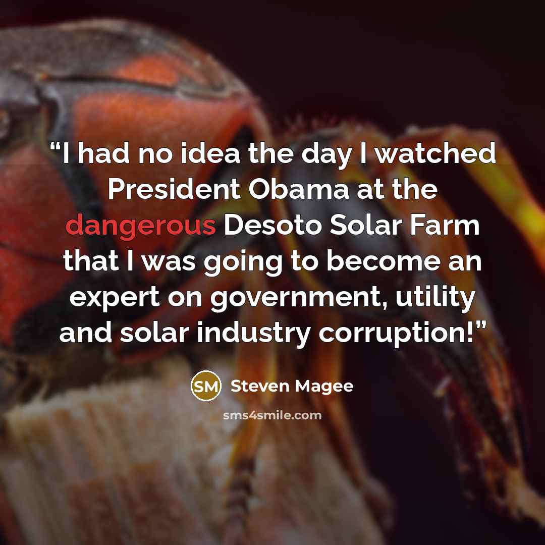 “I had no idea the day I watched President Obama at the dangerous Desoto Solar Farm that I was going to become an expert on government, utility and solar industry corruption!” quote by Steven Magee