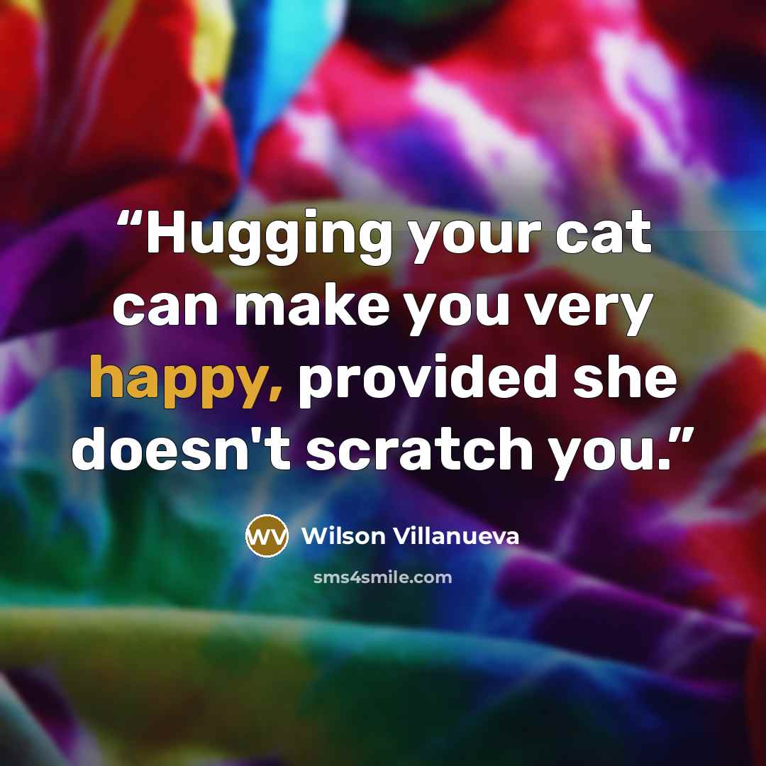 “Hugging your cat can make you very happy, provided she doesn't scratch you.” quote by Wilson Villanueva