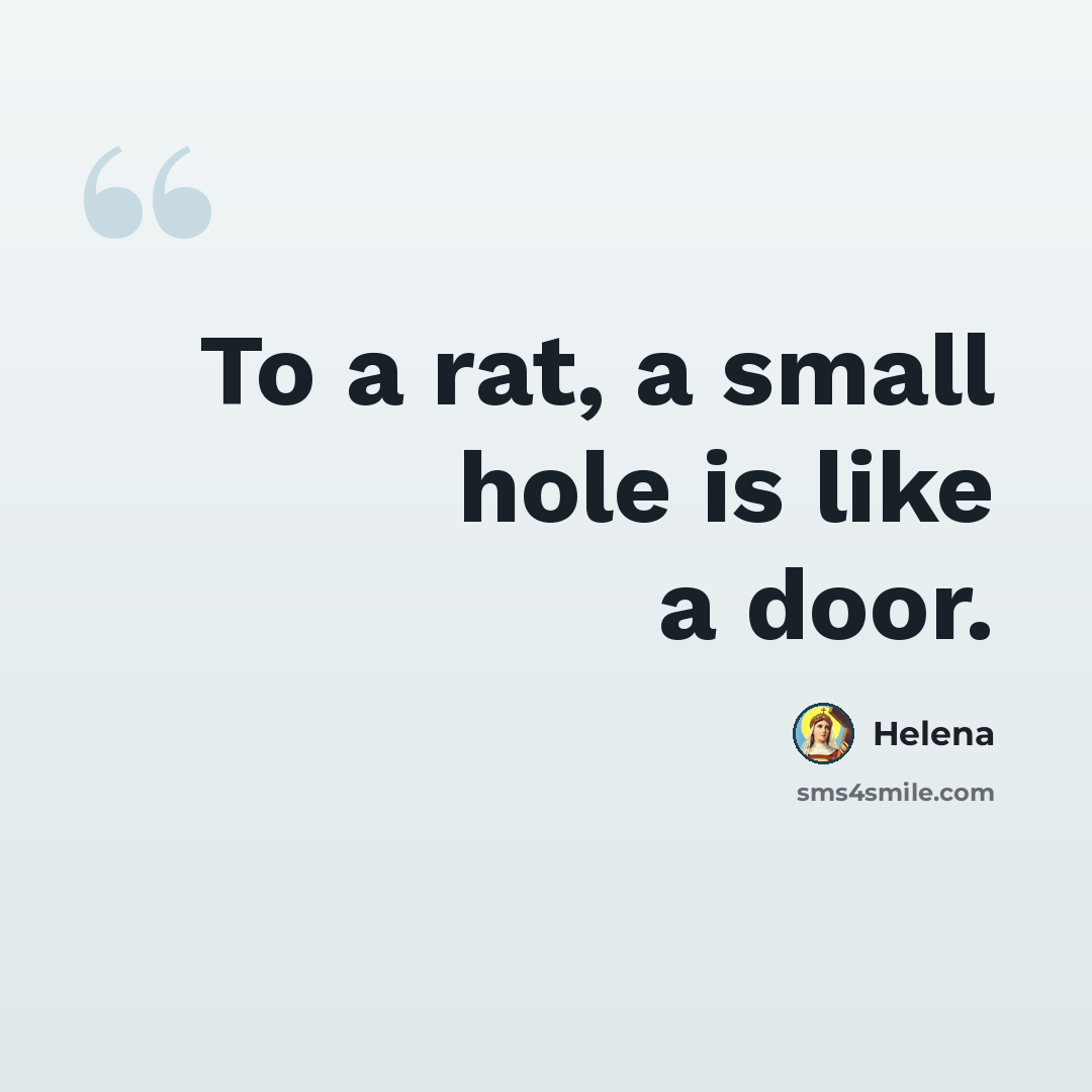 “To a rat, a small hole is like a door.” quote by Helena