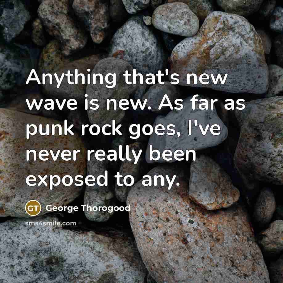 “Anything that's new wave is new. As far as punk rock goes, I've never really been exposed to any.” quote by George Thorogood