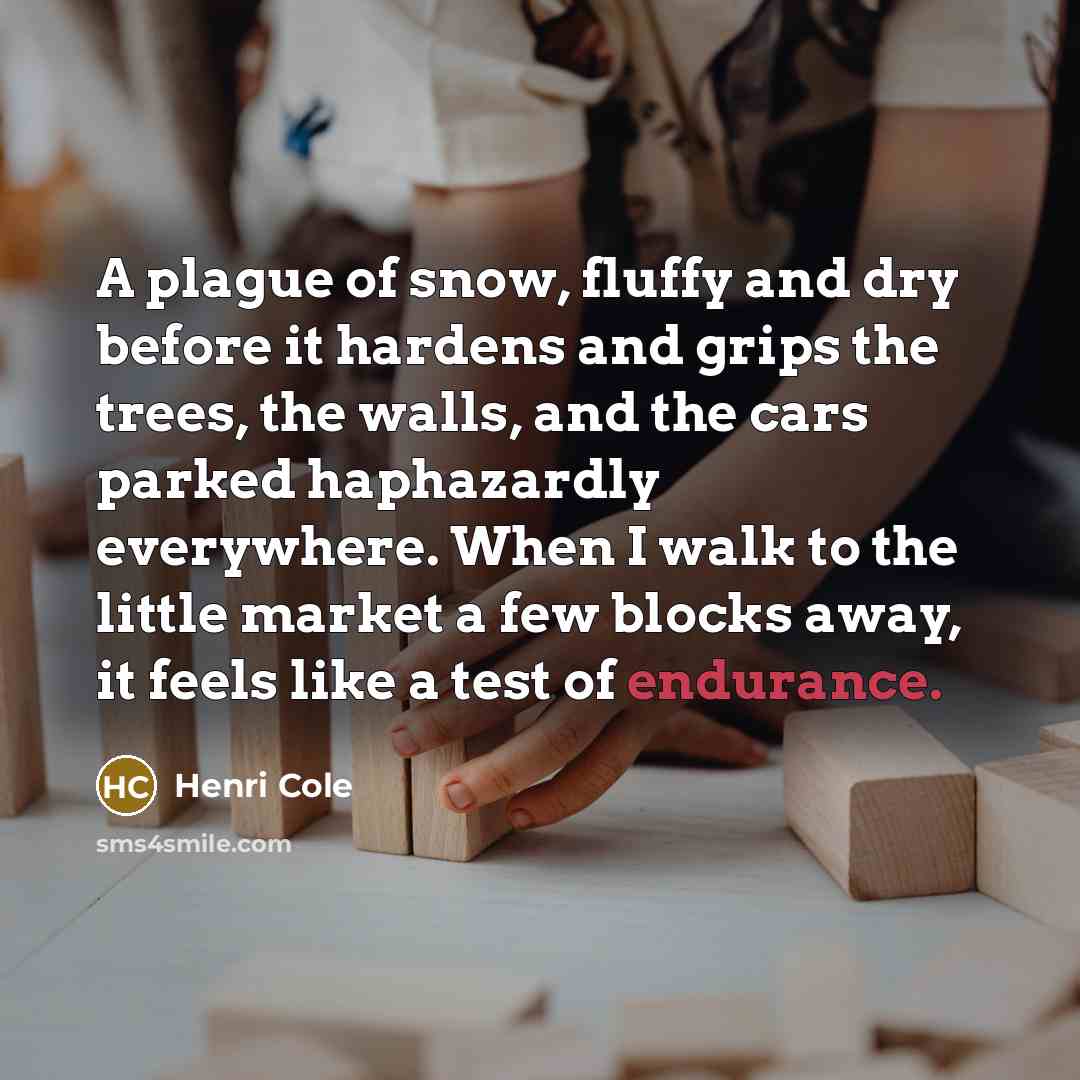 “A plague of snow, fluffy and dry before it hardens and grips the trees, the walls, and the cars parked haphazardly everywhere. When I walk to the little market a few blocks away, it feels like a test of endurance.” quote by Henri Cole