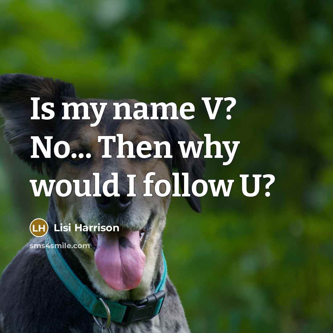 “Is my name V? No... Then why would I follow U?” quote by Lisi Harrison