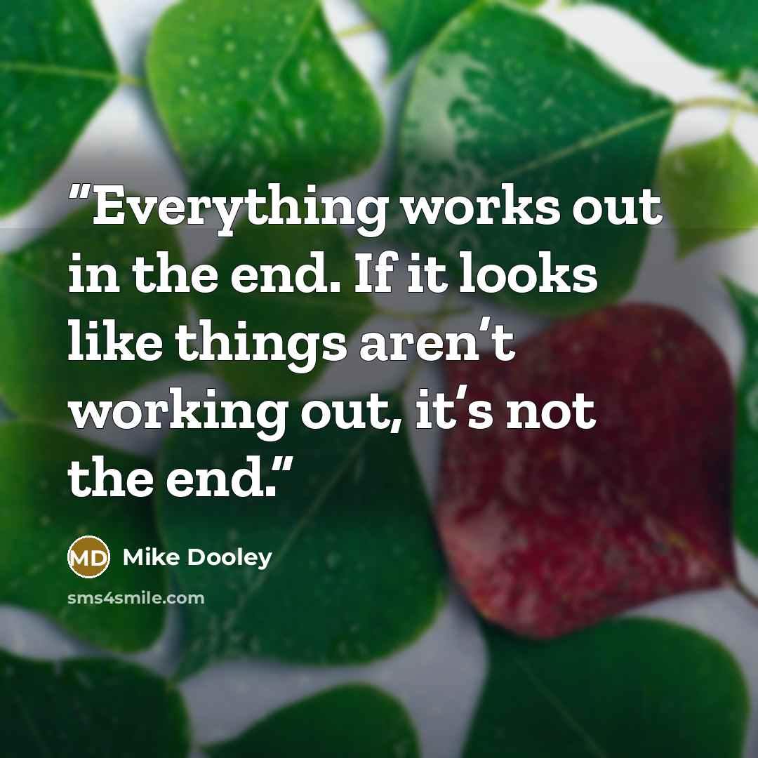 “Everything works out in the end. If it looks like things aren’t working out, it’s not the end.” quote by Mike Dooley