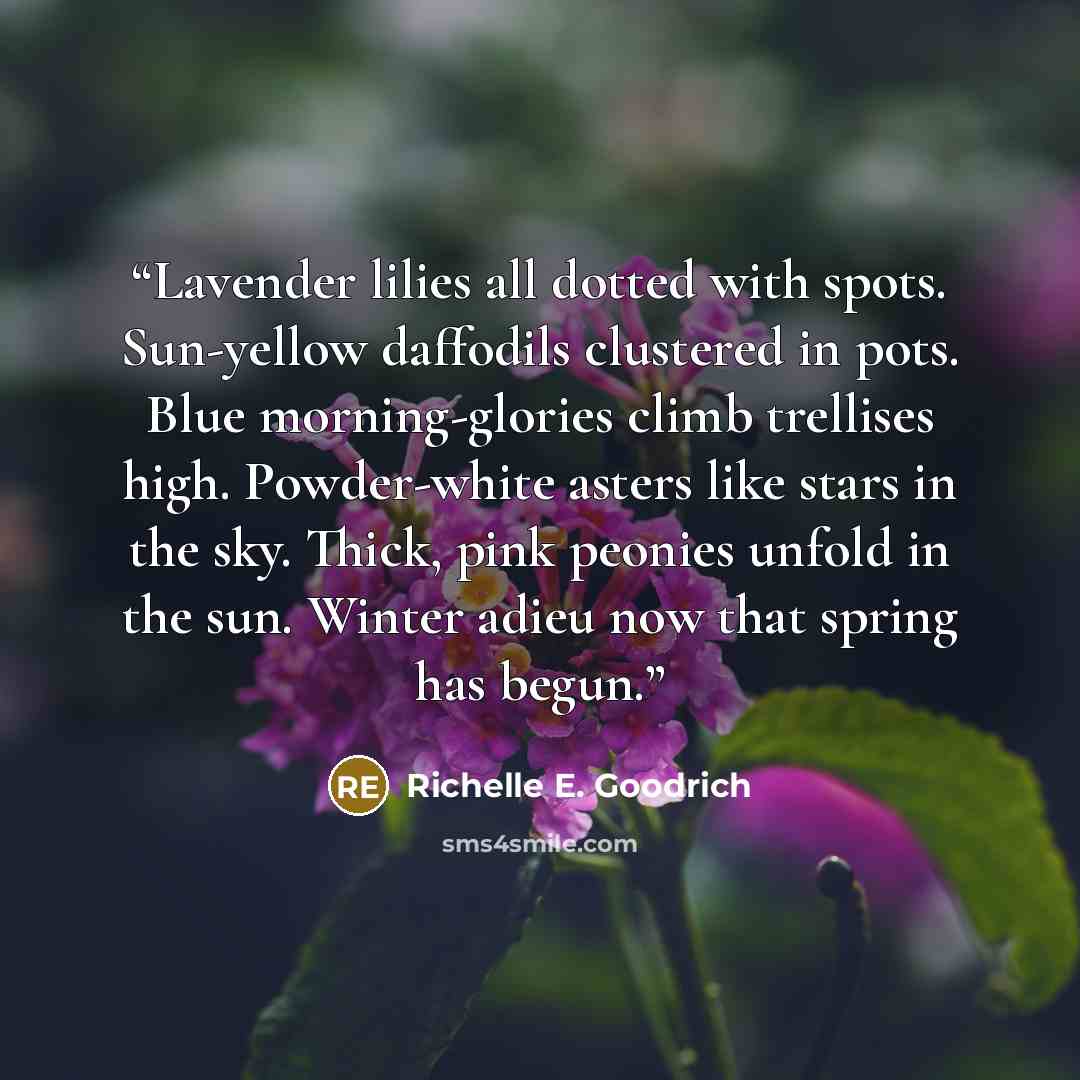 “Lavender lilies all dotted with spots. Sun-yellow daffodils clustered in pots. Blue morning-glories climb trellises high. Powder-white asters like stars in the sky. Thick, pink peonies unfold in the sun. Winter adieu now that spring has begun.” quote by Richelle E. Goodrich