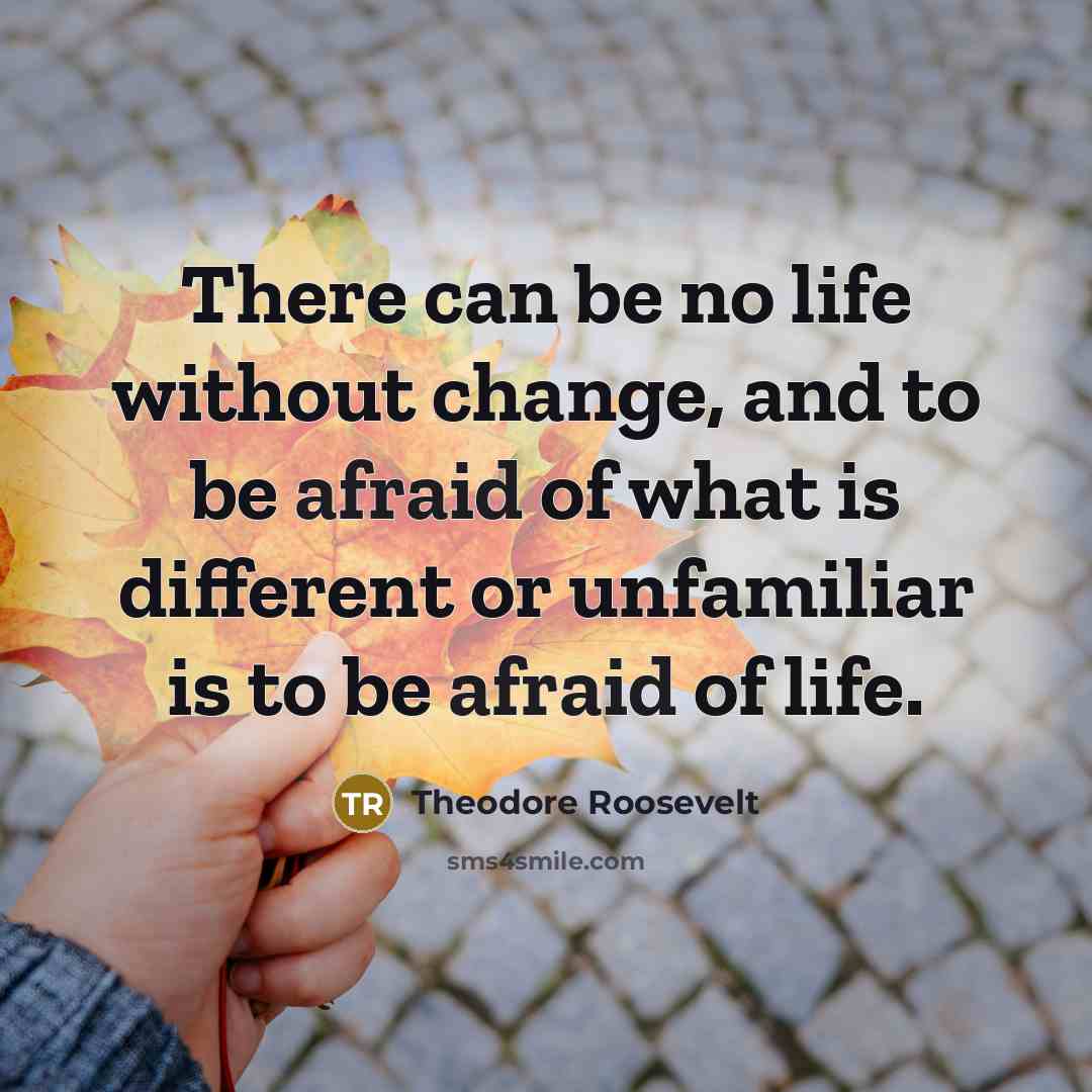 “There can be no life without change, and to be afraid of what is different or unfamiliar is to be afraid of life.” quote by Theodore Roosevelt