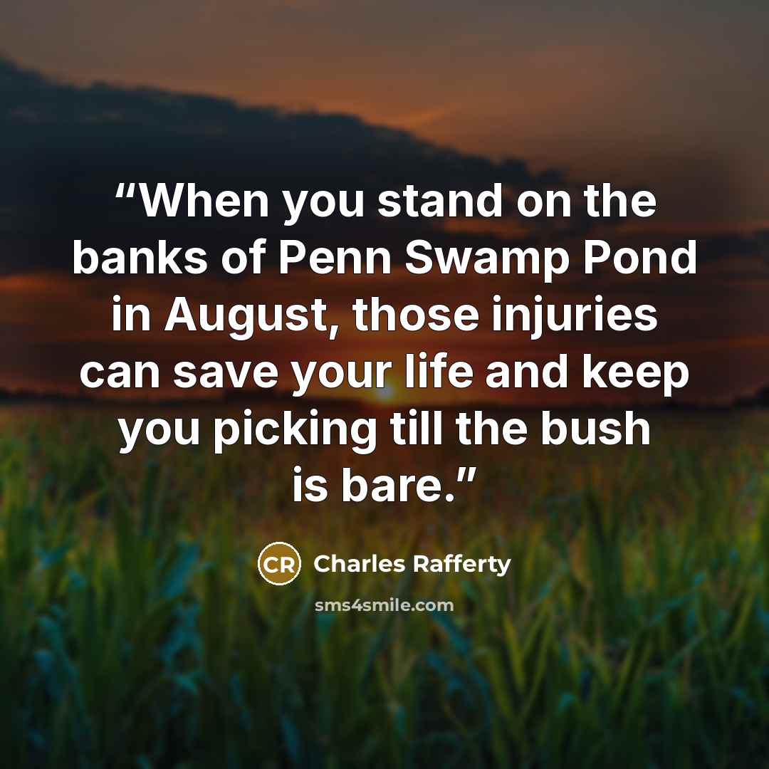 “When you stand on the banks of Penn Swamp Pond in August, those injuries can save your life and keep you picking till the bush is bare.” quote by Charles Rafferty