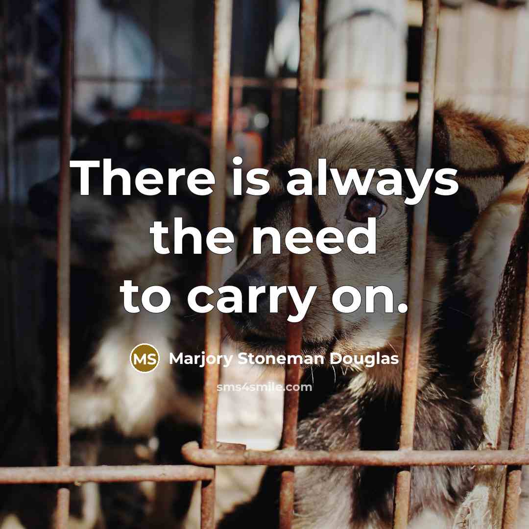 “There is always the need to carry on.” quote by Marjory Stoneman Douglas
