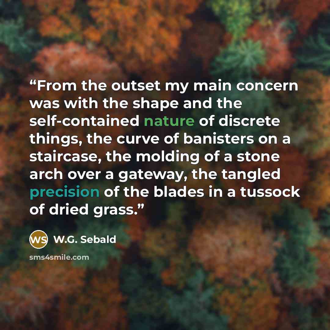 “From the outset my main concern was with the shape and the self-contained nature of discrete things, the curve of banisters on a staircase, the molding of a stone arch over a gateway, the tangled precision of the blades in a tussock of dried grass.” quote by W.G. Sebald