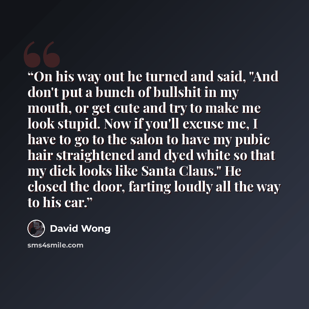 “On his way out he turned and said, "And don't put a bunch of bullshit in my mouth, or get cute and try to make me look stupid. Now if you'll excuse me, I have to go to the salon to have my pubic hair straightened and dyed white so that my dick looks like Santa Claus." He closed the door, farting…” quote by David Wong