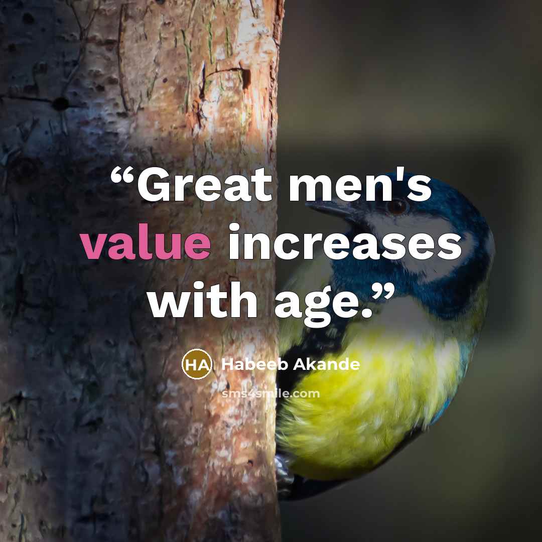 “Great men's value increases with age.” quote by Habeeb Akande