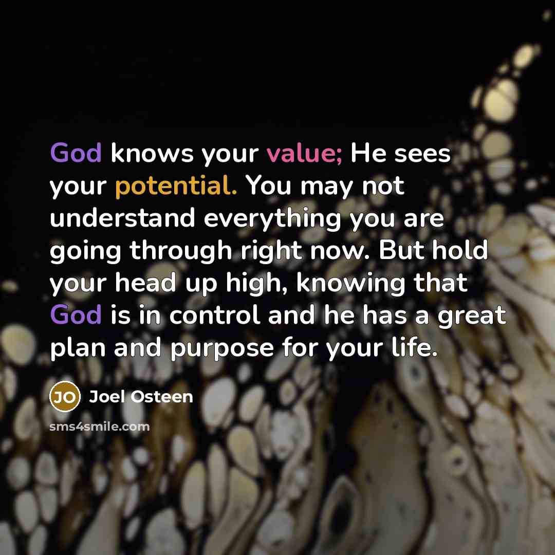 “God knows your value; He sees your potential. You may not understand everything you are going through right now. But hold your head up high, knowing that God is in control and he has a great plan and purpose for your life.” quote by Joel Osteen