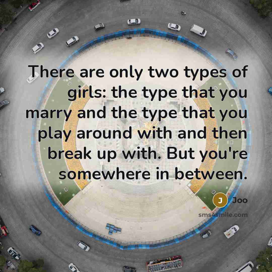 “There are only two types of girls: the type that you marry and the type that you play around with and then break up with. But you're somewhere in between.” quote by Joo