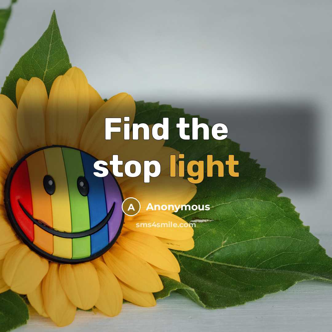 “Find the stop light” quote by Anonymous
