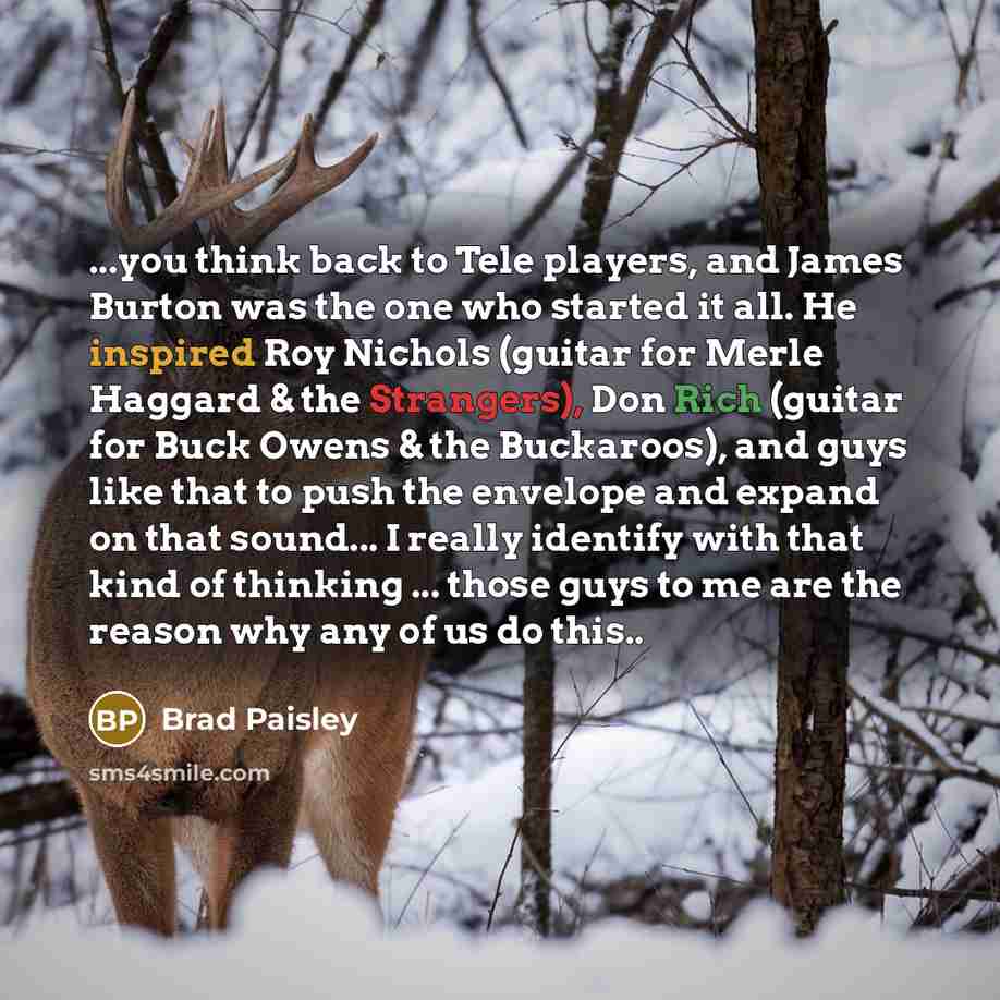 “...you think back to Tele players, and James Burton was the one who started it all. He inspired Roy Nichols (guitar for Merle Haggard & the Strangers), Don Rich (guitar for Buck Owens & the Buckaroos), and guys like that to push the envelope and expand on that sound... I really identify with that…” quote by Brad Paisley