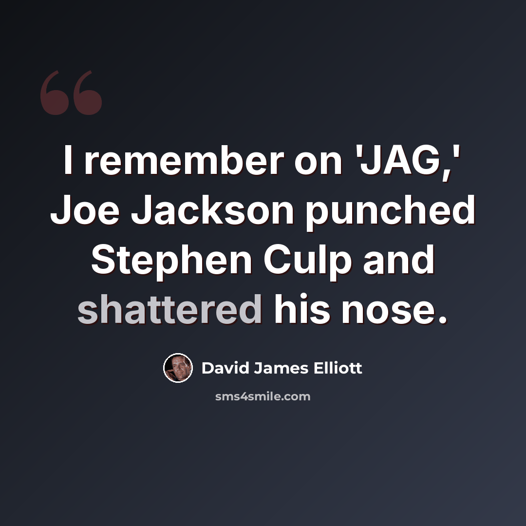 “I remember on 'JAG,' Joe Jackson punched Stephen Culp and shattered his nose.” quote by David James Elliott
