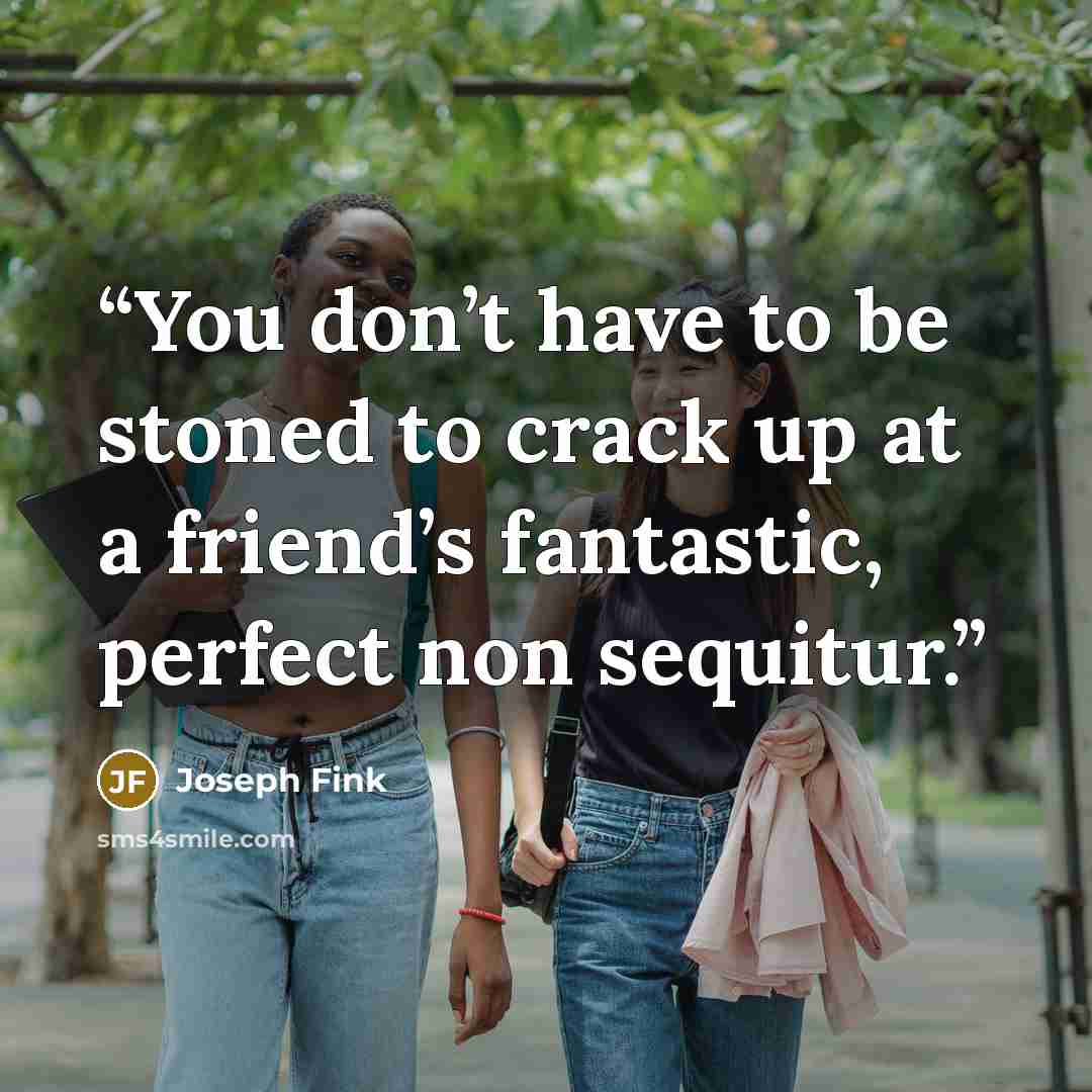 “You don’t have to be stoned to crack up at a friend’s fantastic, perfect non sequitur.” quote by Joseph Fink