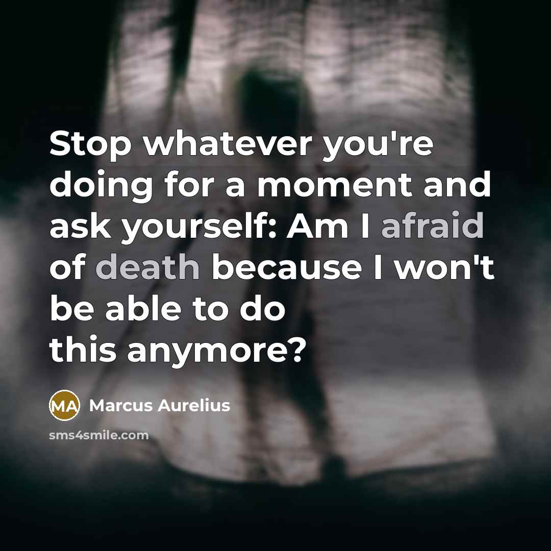 “Stop whatever you're doing for a moment and ask yourself: Am I afraid of death because I won't be able to do this anymore?” quote by Marcus Aurelius