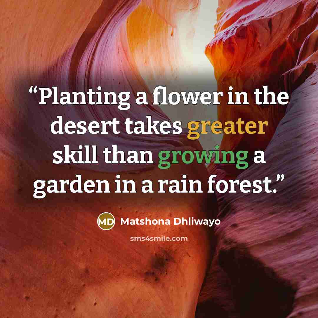 “Planting a flower in the desert takes greater skill than growing a garden in a rain forest.” quote by Matshona Dhliwayo