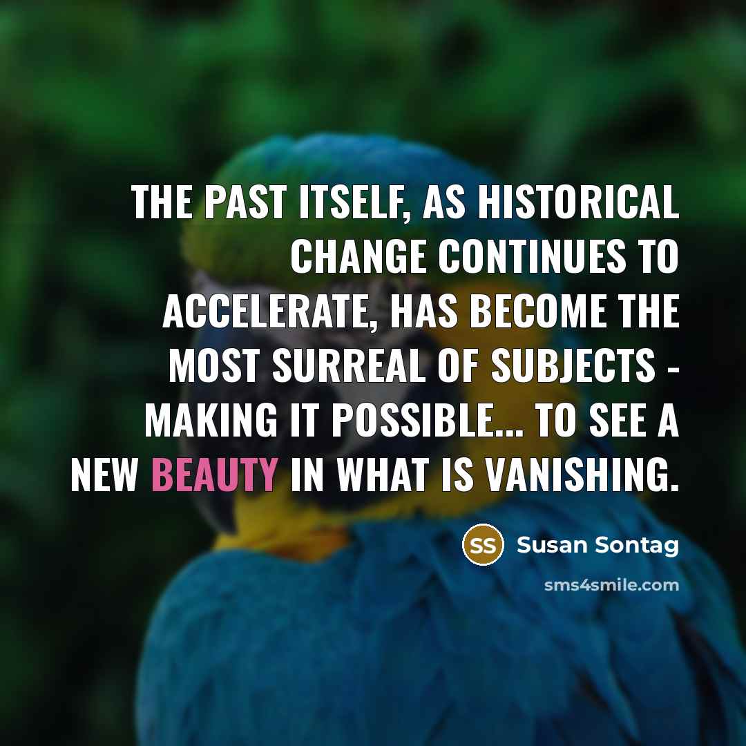 “The past itself, as historical change continues to accelerate, has become the most surreal of subjects - making it possible... to see a new beauty in what is vanishing.” quote by Susan Sontag