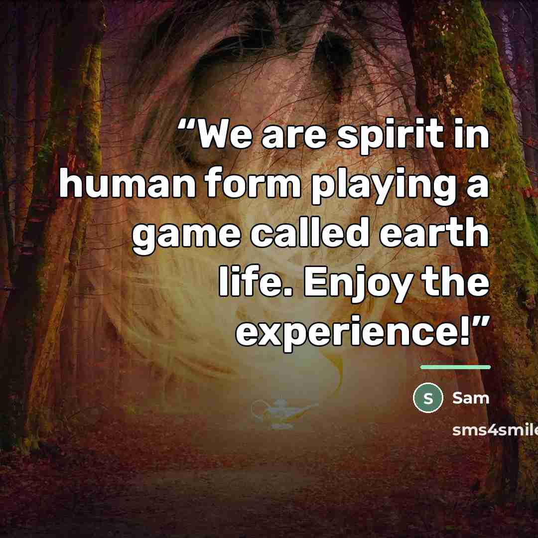 “We are spirit in human form playing a game called earth life. Enjoy the experience!” quote by SAM
