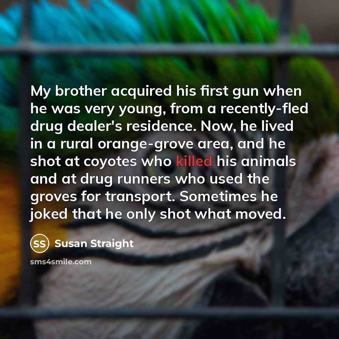 “My brother acquired his first gun when he was very young, from a recently-fled drug dealer's residence. Now, he lived in a rural orange-grove area, and he shot at coyotes who killed his animals and at drug runners who used the groves for transport. Sometimes he joked that he only shot what moved.” quote by Susan Straight