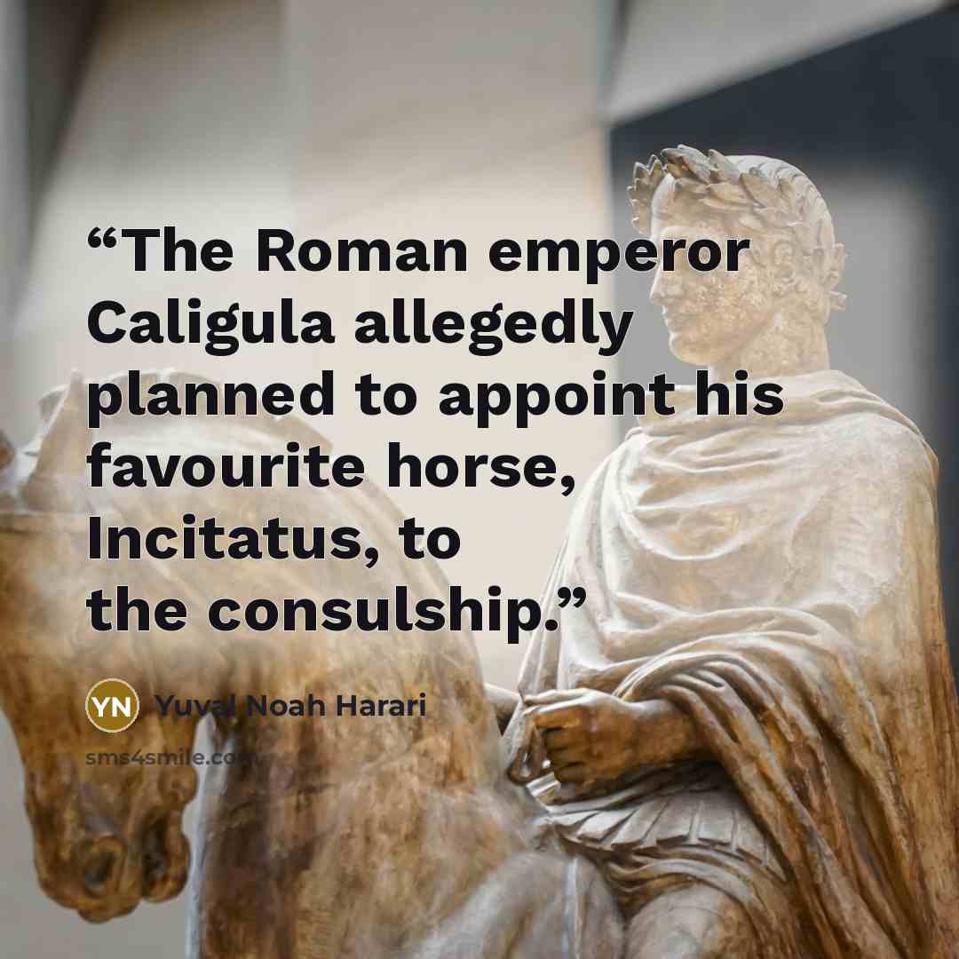 “The Roman emperor Caligula allegedly planned to appoint his favourite horse, Incitatus, to the consulship.” quote by Yuval Noah Harari