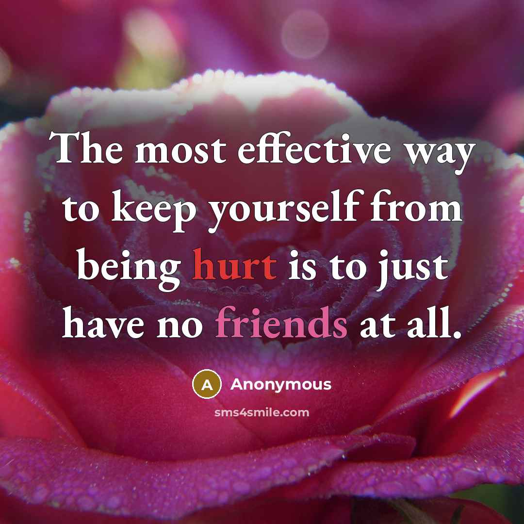 “The most effective way to keep yourself from being hurt is to just have no friends at all.” quote by Anonymous