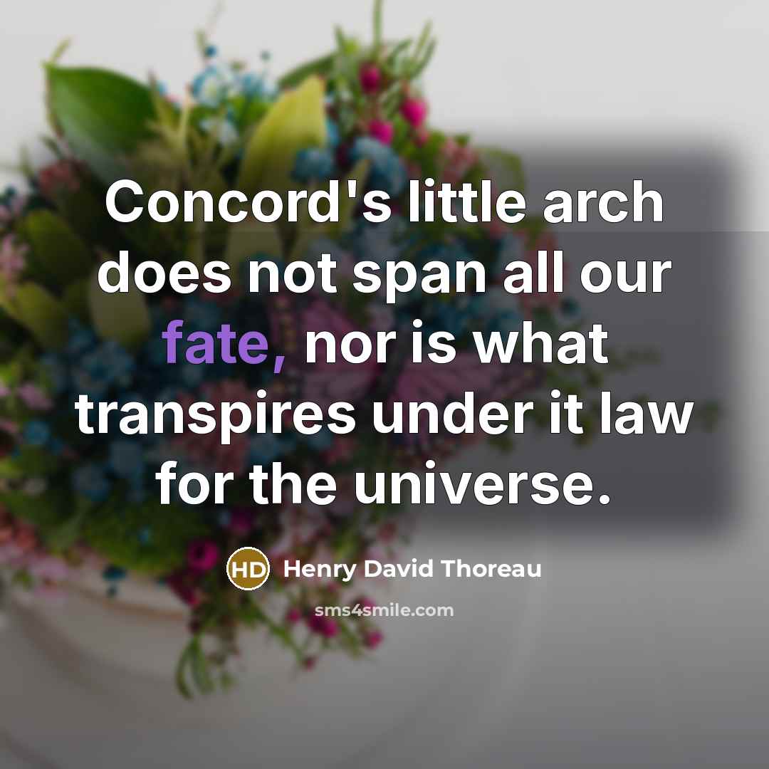 “Concord's little arch does not span all our fate, nor is what transpires under it law for the universe.” quote by Henry David Thoreau
