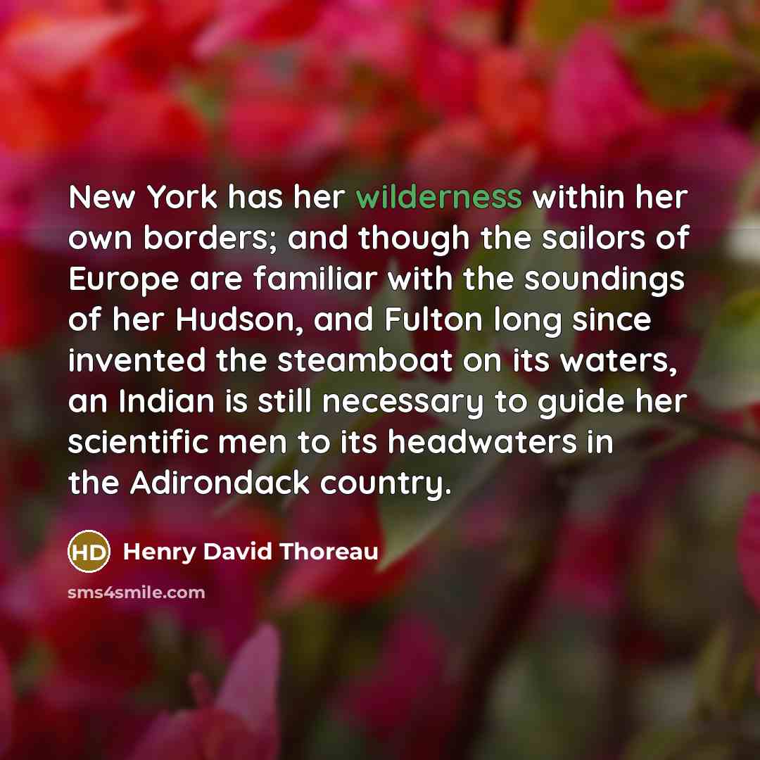 “New York has her wilderness within her own borders; and though the sailors of Europe are familiar with the soundings of her Hudson, and Fulton long since invented the steamboat on its waters, an Indian is still necessary to guide her scientific men to its headwaters in the Adirondack country.” quote by Henry David Thoreau