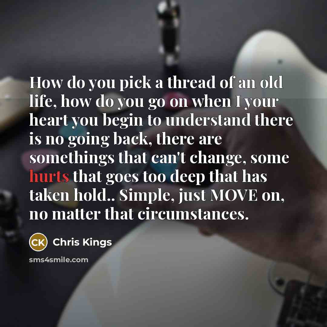 “How do you pick a thread of an old life, how do you go on when I your heart you begin to understand there is no going back, there are somethings that can't change, some hurts that goes too deep that has taken hold.. Simple, just MOVE on, no matter that circumstances.” quote by Chris Kings