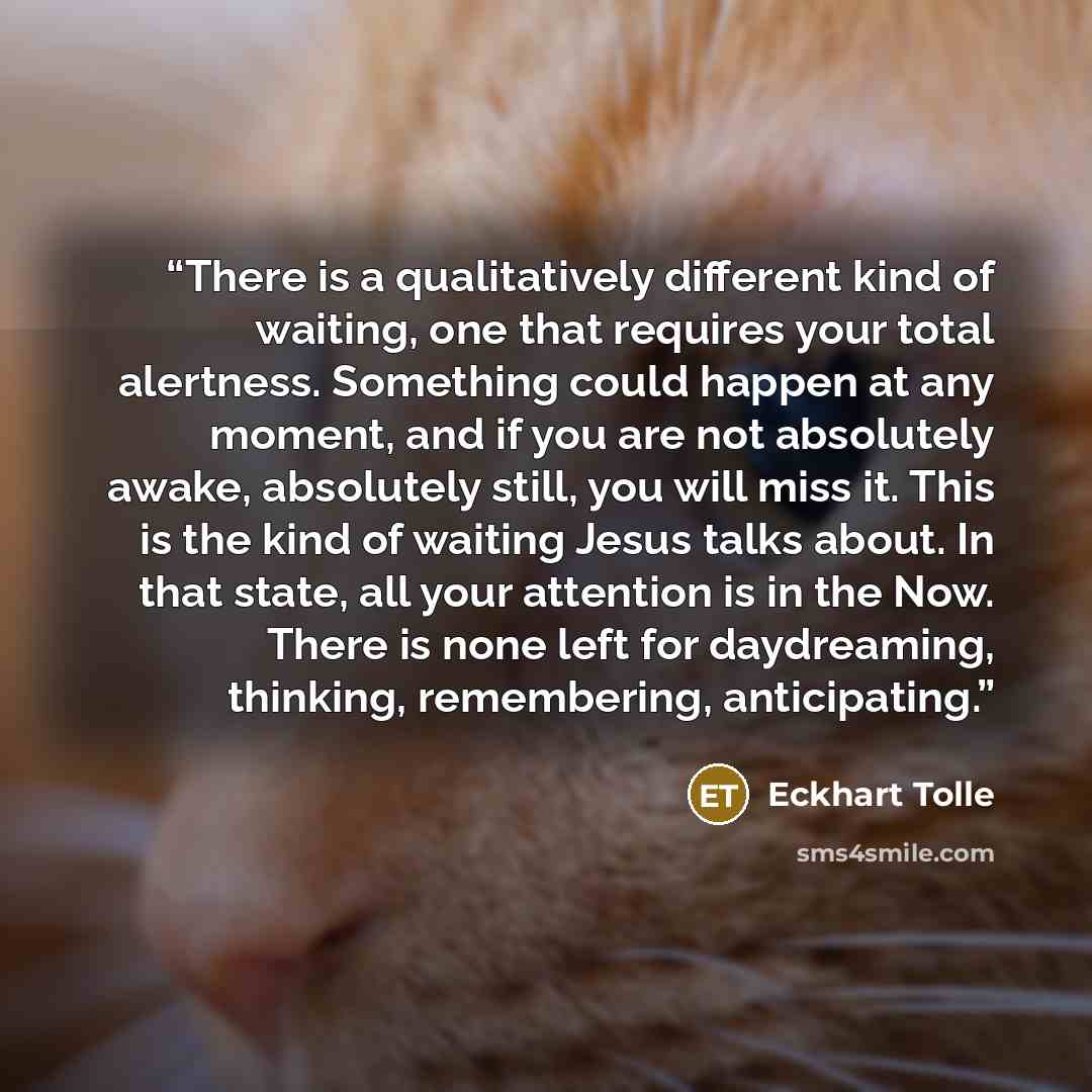 “There is a qualitatively different kind of waiting, one that requires your total alertness. Something could happen at any moment, and if you are not absolutely awake, absolutely still, you will miss it. This is the kind of waiting Jesus talks about. In that state, all your attention is in the Now…” quote by Eckhart Tolle
