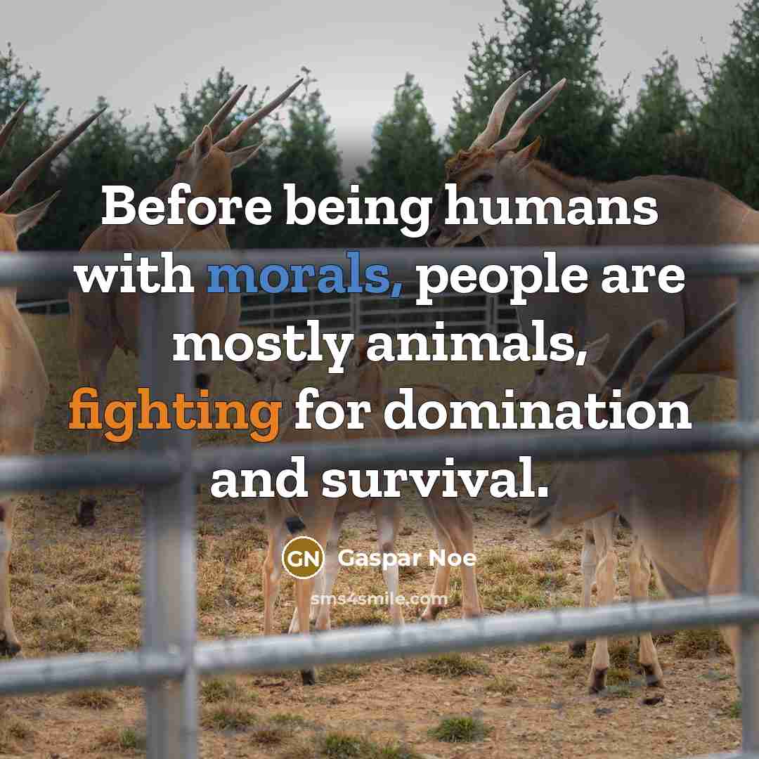 “Before being humans with morals, people are mostly animals, fighting for domination and survival.” quote by Gaspar Noe