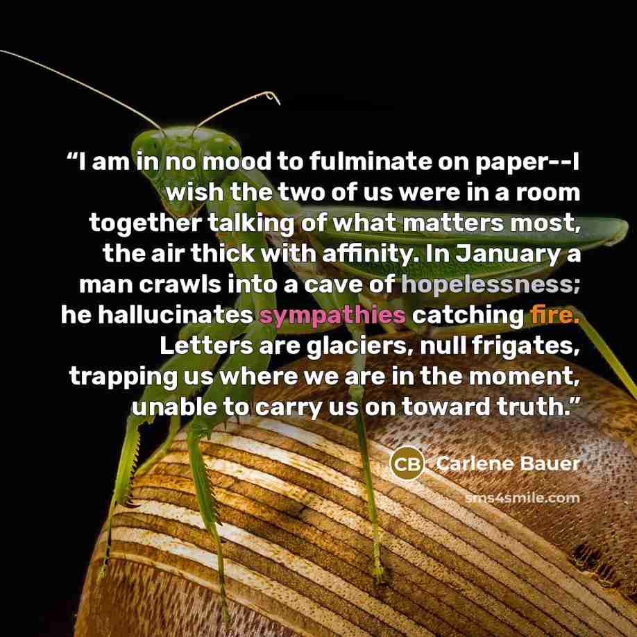 “I am in no mood to fulminate on paper--I wish the two of us were in a room together talking of what matters most, the air thick with affinity. In January a man crawls into a cave of hopelessness; he hallucinates sympathies catching fire. Letters are glaciers, null frigates, trapping us where we…” quote by Carlene Bauer