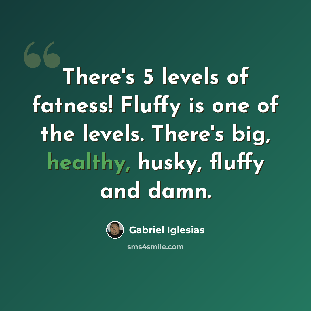 “There's 5 levels of fatness! Fluffy is one of the levels. There's big, healthy, husky, fluffy and damn.” quote by Gabriel Iglesias