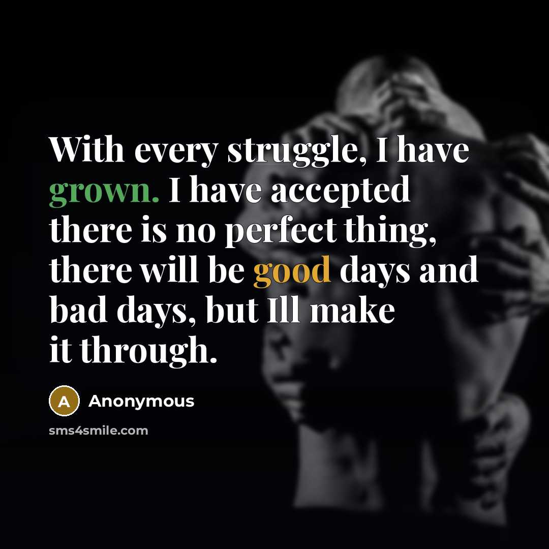 “With every struggle, I have grown. I have accepted there is no perfect thing, there will be good days and bad days, but Ill make it through.” quote by Anonymous